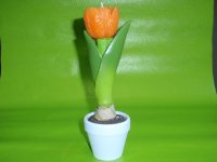 tulipan-v-kvetinaci-8078-2315-686.jpg