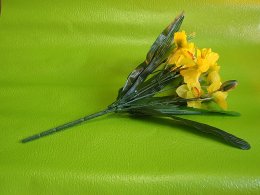 narcis-tm-1855-587.jpg